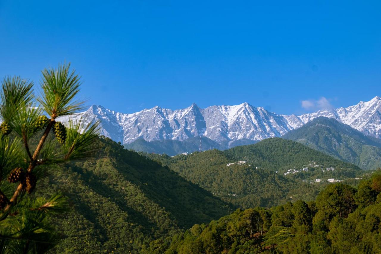 Dhauladhar View Village Resort Dharamshala Exterior foto